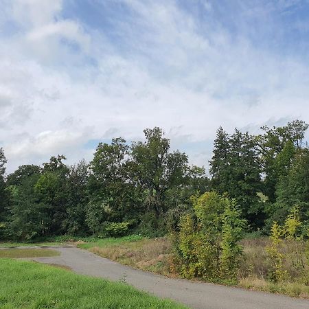 Landgasthof Biberenbad Ferenbalm エクステリア 写真